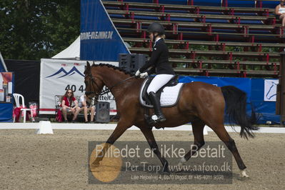 Dm - Uwm iagttagelse - Paradressur
Dm paradressur
Nøgleord: mette isabella anker hansen;lindgaardens achilles