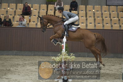 Dansk Rideforbunds Championats finaler 2018
Dansk Rideforbunds Championats finaler 2018 spring 5års
Nøgleord: diamant de revel II;camilla fliedner ernst