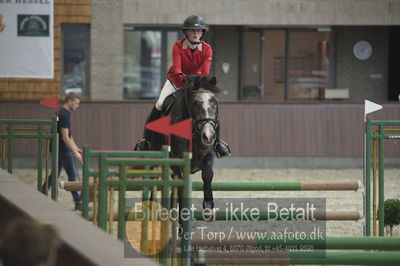 Dansk Rideforbunds Championats finaler 2018
Dansk Rideforbunds Championats finaler 2018 spring 5års
Nøgleord: syvhøjegårds johnny b good;monica bugge skibsted