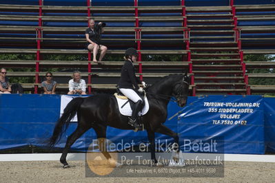 Dm - Uwm iagttagelse - Paradressur
Dm paradressur
Nøgleord: maria bech kofoed;sir salvador