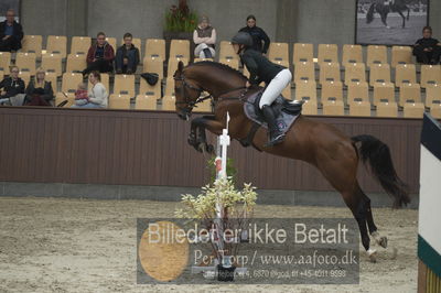 Dansk Rideforbunds Championats finaler 2018
Dansk Rideforbunds Championats finaler 2018 spring 5års
Nøgleord: mundbjergs sandrino boy;ida mundberg hansen
