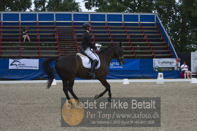 Dm - Uwm iagttagelse - Paradressur
Dm paradressur
Nøgleord: hanne christensen;titania's larus af weservig