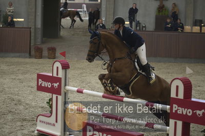 Dansk Rideforbunds Championats finaler 2018
Dansk Rideforbunds Championats finaler 2018 spring 6års.
Nøgleord: syvhøjegårds high five;sabine korfitz christensen