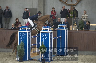 Dansk Rideforbunds Championats finaler 2018
Dansk Rideforbunds Championats finaler 2018 spring 6års.
Nøgleord: syvhøjegårds high five;sabine korfitz christensen