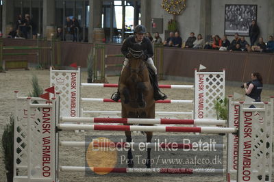 Dansk Rideforbunds Championats finaler 2018
Dansk Rideforbunds Championats finaler 2018 spring 6års.
Nøgleord: clooney ask;martin mose knudsen