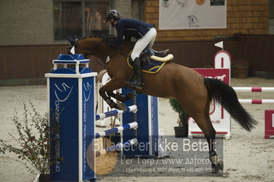 Dansk Rideforbunds Championats finaler 2018 - spring
Dansk Rideforbunds Championats finaler 2018 4års
Nøgleord: chique ps z;christian petersen