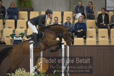 Dansk Rideforbunds Championats finaler 2018 - spring
Dansk Rideforbunds Championats finaler 2018 4års
Nøgleord: gørklintgårds medina;martin mose knudsen