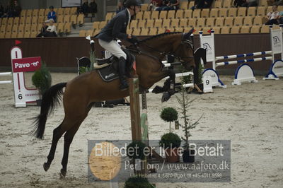 Dansk Rideforbunds Championats finaler 2018 - spring
Dansk Rideforbunds Championats finaler 2018 4års
Nøgleord: gørklintgårds medina;martin mose knudsen