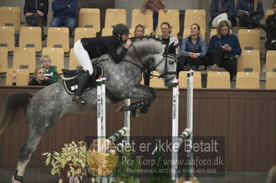 Dansk Rideforbunds Championats finaler 2018 - spring
Dansk Rideforbunds Championats finaler 2018 4års
Nøgleord: union star z;nina gjertsen