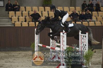 Dansk Rideforbunds Championats finaler 2018 - spring
Dansk Rideforbunds Championats finaler 2018 4års
Nøgleord: captain ludwig;rikke slottholm