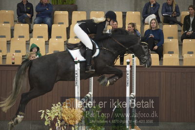 Dansk Rideforbunds Championats finaler 2018 - spring
Dansk Rideforbunds Championats finaler 2018 4års
Nøgleord: captain ludwig;rikke slottholm