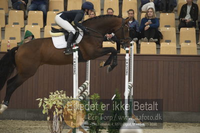 Dansk Rideforbunds Championats finaler 2018 - spring
Dansk Rideforbunds Championats finaler 2018 4års
Nøgleord: svalegårds gold crelido;laila pdersen