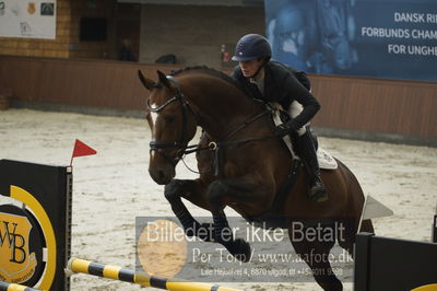 Dansk Rideforbunds Championats finaler 2018 - spring
Dansk Rideforbunds Championats finaler 2018 4års
Nøgleord: svalegårds gold crelido;laila pdersen