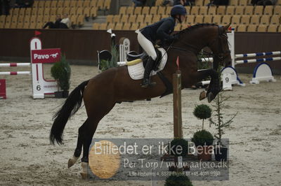 Dansk Rideforbunds Championats finaler 2018 - spring
Dansk Rideforbunds Championats finaler 2018 4års
Nøgleord: svalegårds gold crelido;laila pdersen