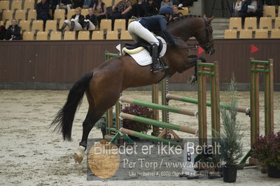 Dansk Rideforbunds Championats finaler 2018 - spring
Dansk Rideforbunds Championats finaler 2018 4års
Nøgleord: svalegårds gold crelido;laila pdersen