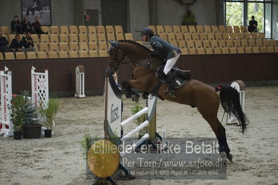 Dansk Rideforbunds Championats finaler 2018 - spring
Dansk Rideforbunds Championats finaler 2018 4års
Nøgleord: freund's cocio;alan blomgreen