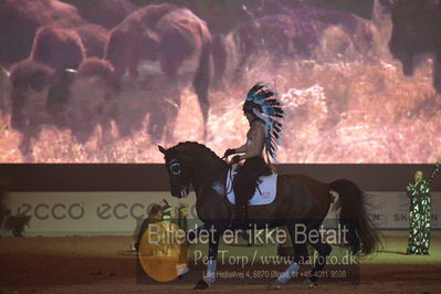 Dansk varmblod hingstekåring.
galashow
Nøgleord: indianere;barbara moloko