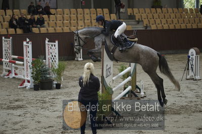 Dansk Rideforbunds Championats finaler 2018 - spring
Dansk Rideforbunds Championats finaler 2018 4års
Nøgleord: senjora.kristina krag olesen