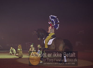 Dansk varmblod hingstekåring.
galashow
Nøgleord: indianere;barbara moloko