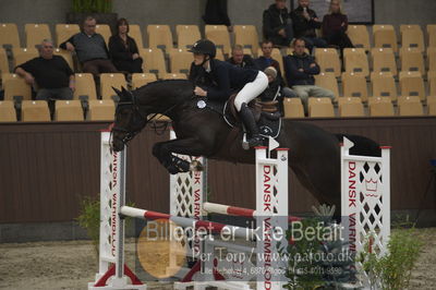 Dansk Rideforbunds Championats finaler 2018 - spring
Dansk Rideforbunds Championats finaler 2018 4års
Nøgleord: syvhøjegårds hot beauty ph;katrine højholt