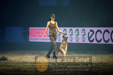 Dansk varmblod hingstekåring.
galashow
Nøgleord: hundeshow