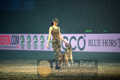 Dansk varmblod hingstekåring.
galashow
Nøgleord: hundeshow