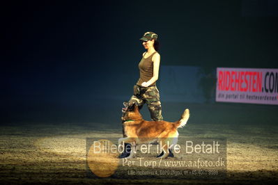 Dansk varmblod hingstekåring.
galashow
Nøgleord: hundeshow