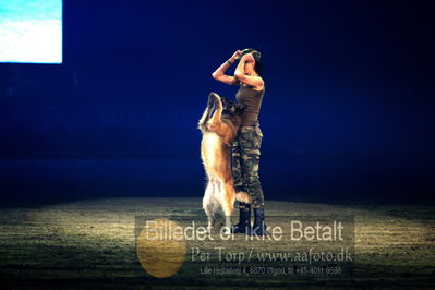 Dansk varmblod hingstekåring.
galashow
Nøgleord: hundeshow