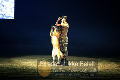 Dansk varmblod hingstekåring.
galashow
Nøgleord: hundeshow