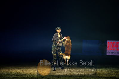 Dansk varmblod hingstekåring.
galashow
Nøgleord: hundeshow