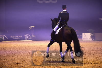 Dansk varmblod hingstekåring.
galashow
Nøgleord: daniel bachmann andersen;alan grøn;bh farrel;bh zee me blue