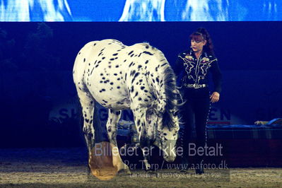 Dansk varmblod hingstekåring.
galashow
Nøgleord: rosi hochegger;scout