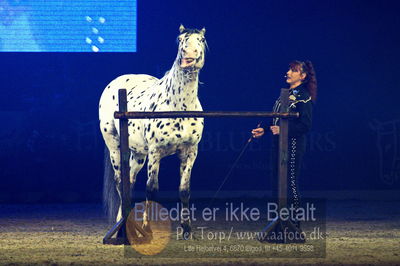 Dansk varmblod hingstekåring.
galashow
Nøgleord: rosi hochegger;scout