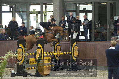 Dansk Rideforbunds Championats finaler 2018 - spring
Dansk Rideforbunds Championats finaler 2018 4års
Nøgleord: why not;charlotte schreiber