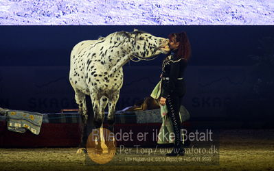 Dansk varmblod hingstekåring.
galashow
Nøgleord: rosi hochegger;scout