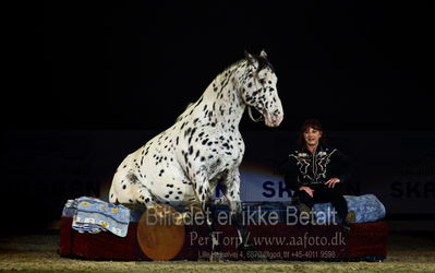 Dansk varmblod hingstekåring.
galashow
Nøgleord: rosi hochegger;scout