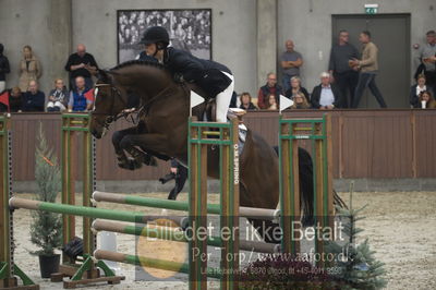 Dansk Rideforbunds Championats finaler 2018 - spring
Dansk Rideforbunds Championats finaler 2018 4års
Nøgleord: galliano lw;sashia astrup jensen