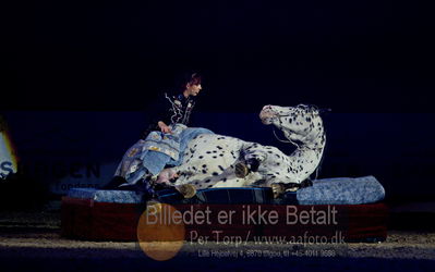 Dansk varmblod hingstekåring.
galashow
Nøgleord: rosi hochegger;scout