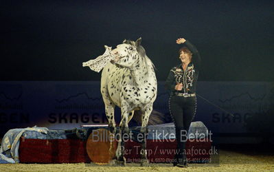 Dansk varmblod hingstekåring.
galashow
Nøgleord: rosi hochegger;scout