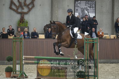 Dansk Rideforbunds Championats finaler 2018 - spring
Dansk Rideforbunds Championats finaler 2018 4års
Nøgleord: libaks chico;ewa maslanka