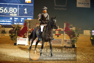 Dansk varmblod hingstekåring.
galashow
Nøgleord: dennis steffenauer;boy s