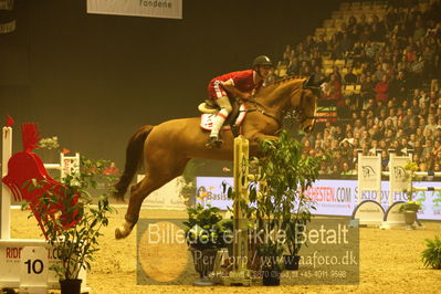 Dansk varmblod hingstekåring.
galashow
Nøgleord: lars trier kjoeller;cosmona