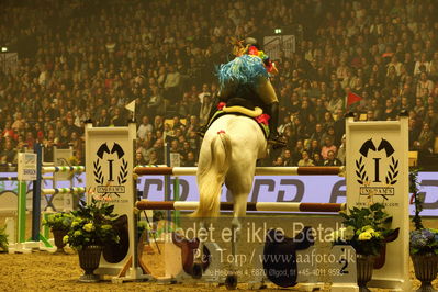 Dansk varmblod hingstekåring.
galashow
Nøgleord: christel worre-jensen;caballero 80