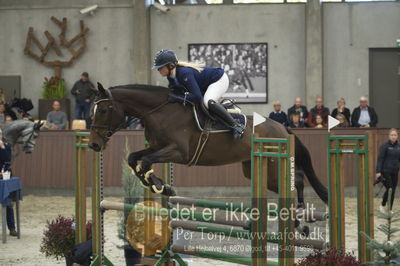 Dansk Rideforbunds Championats finaler 2018 - spring
Dansk Rideforbunds Championats finaler 2018 4års
Nøgleord: volstrups cashiopaja;kamilla grauff albrektsen