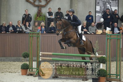 Dansk Rideforbunds Championats finaler 2018 - spring
Dansk Rideforbunds Championats finaler 2018 4års
Nøgleord: congstar;astrid svenstrup