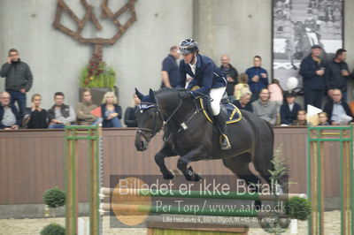 Dansk Rideforbunds Championats finaler 2018 - spring
Dansk Rideforbunds Championats finaler 2018 4års
Nøgleord: alpha'm z;christian petersen