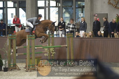 Dansk Rideforbunds Championats finaler 2018 spring
Dansk Rideforbunds Championats finaler 2018
5 års
Nøgleord: diamant de revel II;camilla fliedner ernst