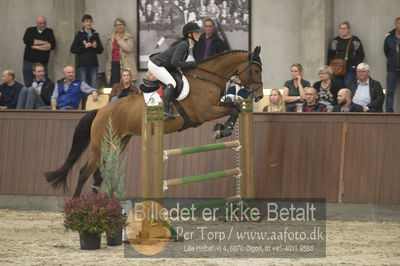 Dansk Rideforbunds Championats finaler 2018 spring
Dansk Rideforbunds Championats finaler 2018
5 års
Nøgleord: alegra ask;maria bjørnkjær bennedsgaard