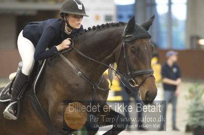 Dansk Rideforbunds Championats finaler 2018 spring
Dansk Rideforbunds Championats finaler 2018
5 års
Nøgleord: syvhøjegårds enzo;katrine højholt