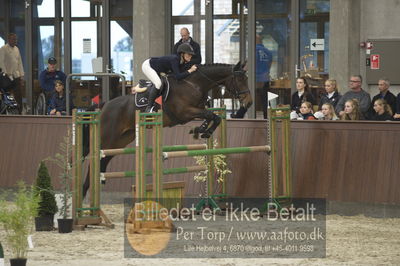 Dansk Rideforbunds Championats finaler 2018 spring
Dansk Rideforbunds Championats finaler 2018
5 års
Nøgleord: syvhøjegårds enzo;katrine højholt